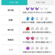 ヒメ日記 2025/05/26 07:46 投稿 浜田なぎさ ABC 岩手ソープ