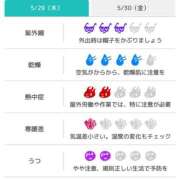 ヒメ日記 2025/05/29 07:31 投稿 浜田なぎさ ABC 岩手ソープ