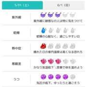 ヒメ日記 2025/05/31 07:16 投稿 浜田なぎさ ABC 岩手ソープ