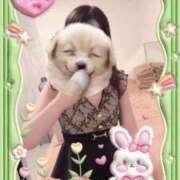 ヒメ日記 2025/06/04 09:16 投稿 浜田なぎさ ABC 岩手ソープ