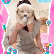 ヒメ日記 2025/06/11 09:01 投稿 浜田なぎさ ABC 岩手ソープ