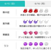 ヒメ日記 2025/06/15 07:46 投稿 浜田なぎさ ABC 岩手ソープ