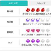 ヒメ日記 2025/06/23 07:31 投稿 浜田なぎさ ABC 岩手ソープ