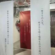 ヒメ日記 2025/11/10 13:16 投稿 浜田なぎさ ABC 岩手ソープ