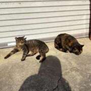 ヒメ日記 2026/02/01 09:16 投稿 浜田なぎさ ABC 岩手ソープ