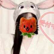 ヒメ日記 2026/03/20 10:31 投稿 浜田なぎさ ABC 岩手ソープ