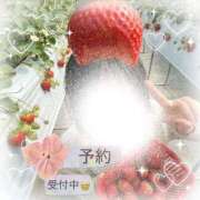 ヒメ日記 2026/04/04 08:31 投稿 浜田なぎさ ABC 岩手ソープ