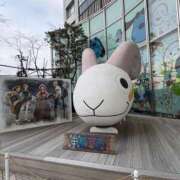 ヒメ日記 2026/04/06 09:46 投稿 浜田なぎさ ABC 岩手ソープ