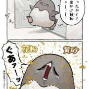 ヒメ日記 2026/04/07 14:46 投稿 浜田なぎさ ABC 岩手ソープ