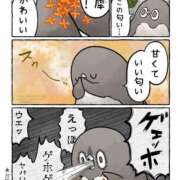 ヒメ日記 2026/04/25 17:16 投稿 浜田なぎさ ABC 岩手ソープ