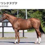 ヒメ日記 2025/05/02 18:28 投稿 えな ワンダフル