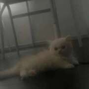 ヒメ日記 2025/08/23 15:11 投稿 えな ワンダフル