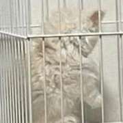 ヒメ日記 2025/10/02 10:08 投稿 えな ワンダフル