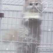 ヒメ日記 2025/11/30 11:38 投稿 えな ワンダフル