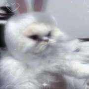 えな 🐱 ワンダフル