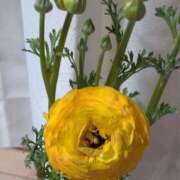 ヒメ日記 2025/03/14 21:32 投稿 しずな 熟女の風俗最終章 池袋店