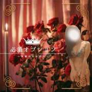 ヒメ日記 2025/06/03 14:30 投稿 すずか 金の玉クラブ池袋～密着睾丸マッサージ～