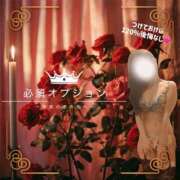 ヒメ日記 2025/07/08 08:01 投稿 すずか 金の玉クラブ池袋～密着睾丸マッサージ～