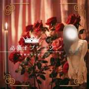 ヒメ日記 2025/10/27 09:00 投稿 すずか 金の玉クラブ池袋～密着睾丸マッサージ～