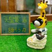 ヒメ日記 2025/05/03 19:08 投稿 る　り【大人女子】 Select(セレクト)