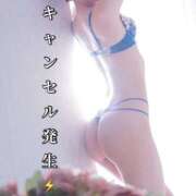 ヒメ日記 2025/10/09 13:56 投稿 いおり ニュー不夜城