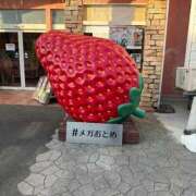 ヒメ日記 2025/12/08 15:56 投稿 いおり ニュー不夜城