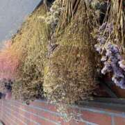 ヒメ日記 2025/03/16 21:11 投稿 みゆう 浜松人妻援護会