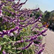 ヒメ日記 2025/05/09 18:57 投稿 みゆう 浜松人妻援護会