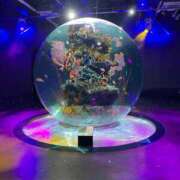 ヒメ日記 2025/05/15 15:05 投稿 みゆう 浜松人妻援護会