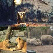 ヒメ日記 2025/05/23 23:08 投稿 みゆう 浜松人妻援護会