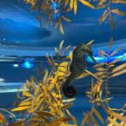 みゆう お礼🥰 浜松人妻援護会