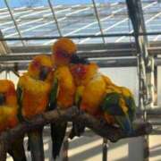 ヒメ日記 2026/01/04 21:31 投稿 みゆう 浜松人妻援護会