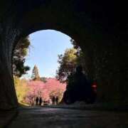 ヒメ日記 2026/02/28 23:42 投稿 みゆう 浜松人妻援護会