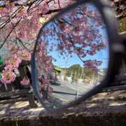 ヒメ日記 2026/03/02 12:22 投稿 みゆう 浜松人妻援護会