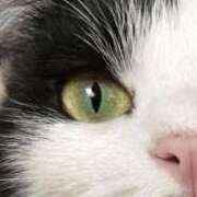 ヒメ日記 2026/03/08 14:21 投稿 みゆう 浜松人妻援護会