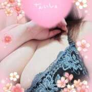 ヒメ日記 2025/02/21 07:11 投稿 みずほ ちゃんこ長野塩尻北IC店