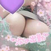 ヒメ日記 2025/07/22 13:31 投稿 みずほ ちゃんこ長野塩尻北IC店