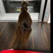 ヒメ日記 2025/03/10 03:46 投稿 れおな デザインプリズム新宿