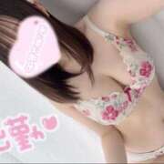 ヒメ日記 2025/07/14 18:02 投稿 ここあ めっちゃスイスク京都店