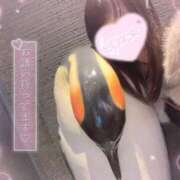 ヒメ日記 2025/11/29 15:01 投稿 ここあ めっちゃスイスク京都店