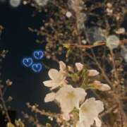 ヒメ日記 2025/03/27 08:25 投稿 にの えちちSPA-えっちな回春性感マッサージ-五反田店