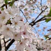 ヒメ日記 2025/04/30 23:38 投稿 にの えちちSPA-えっちな回春性感マッサージ-五反田店