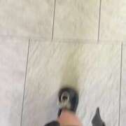 ヒメ日記 2025/07/14 01:01 投稿 りりあ めっちゃスイスク京都店