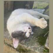 ヒメ日記 2025/03/24 02:42 投稿 さら KIREI（五反田）