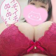 ヒメ日記 2025/12/09 18:20 投稿 かい ちゃんこ大阪伊丹空港豊中店