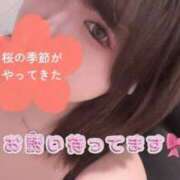 ヒメ日記 2025/04/11 14:10 投稿 ひまり 奥様特急　池袋・大塚店