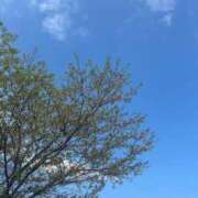 ヒメ日記 2025/04/12 16:50 投稿 ひまり 奥様特急　池袋・大塚店