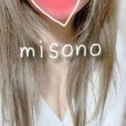 ヒメ日記 2025/03/15 11:24 投稿 みその 濃厚即19妻