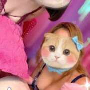 ヒメ日記 2025/12/04 14:20 投稿 みその 濃厚即19妻