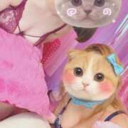 ヒメ日記 2026/05/12 12:45 投稿 みその 濃厚即19妻